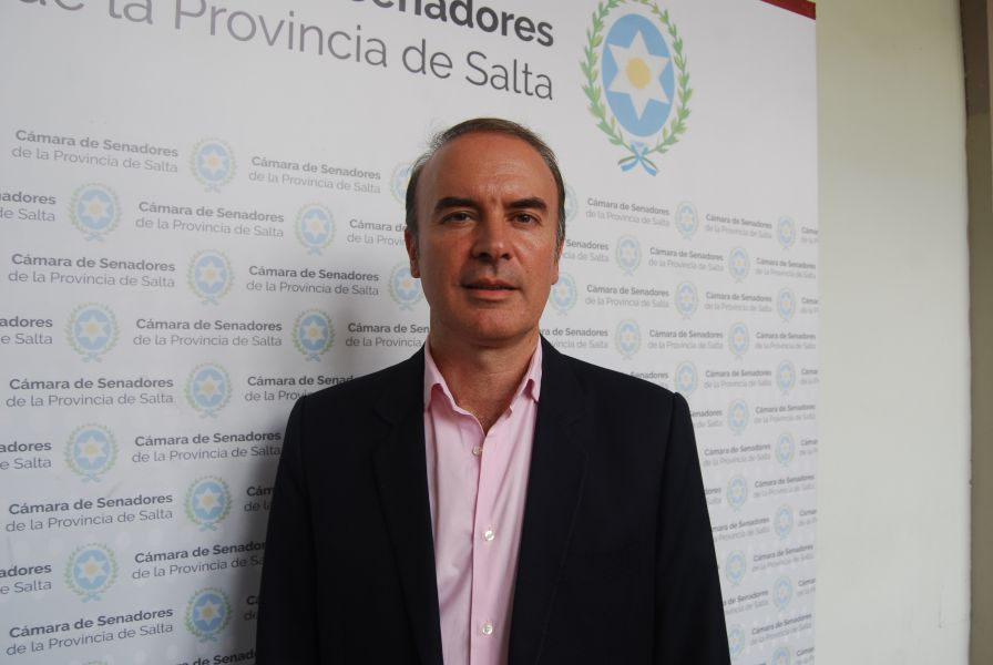 El senador salteño Enrique Cornejo