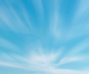 home_columns_bottom (mobile) — 1779198018.gif